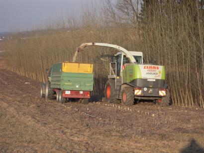 Ernte Energieholz mit Mex