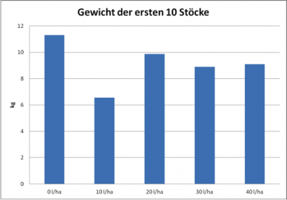 Die durchschnittlichen Gewichte der Pflanzen der ersten 10 Stöcke pro Reihe im Dezember 2011